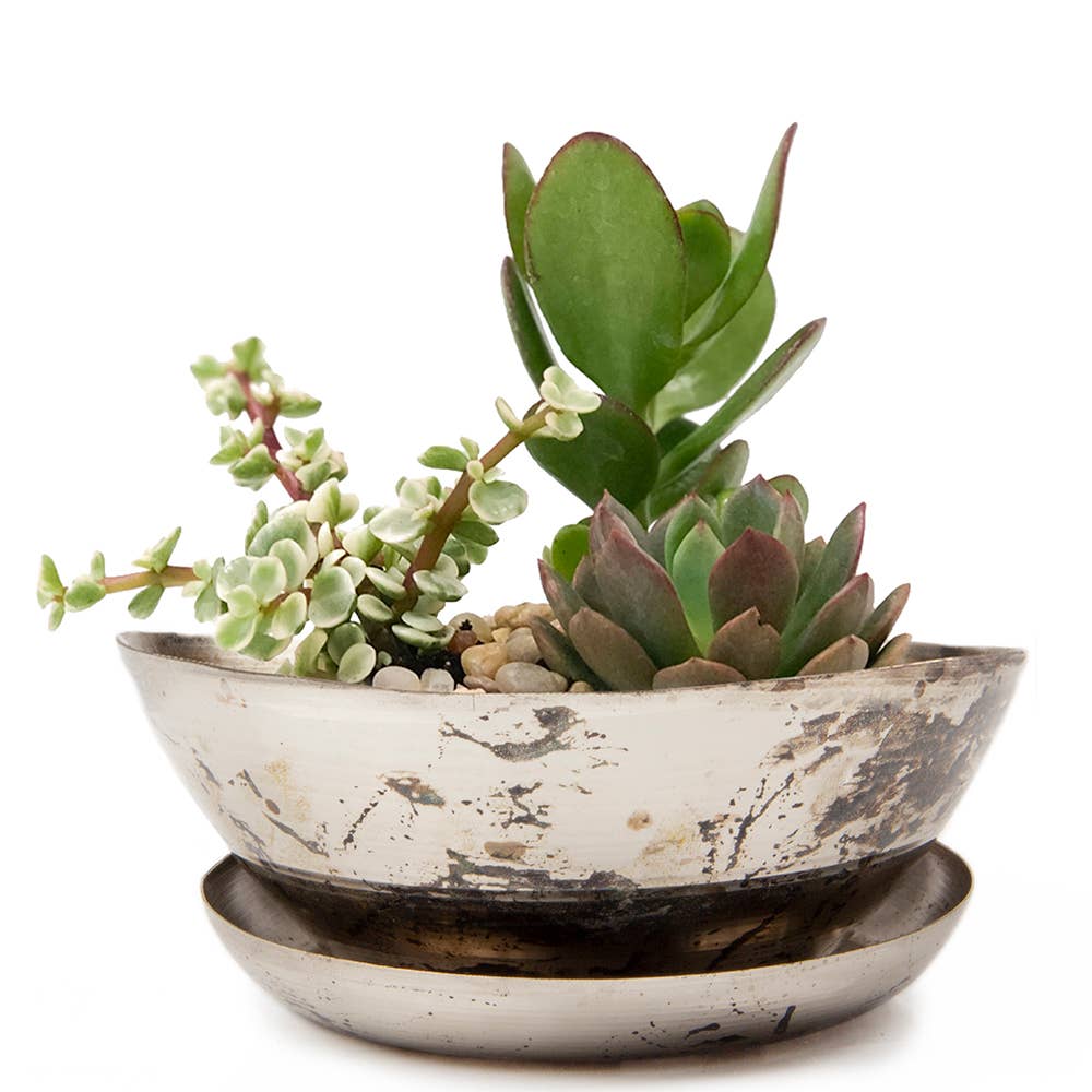 Silver Succulent Planter