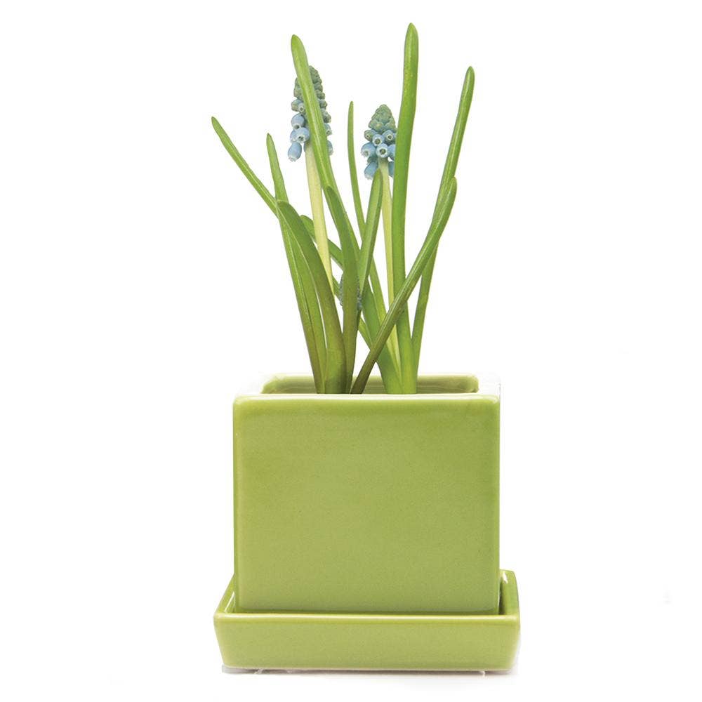 Cube Pot With Saucer And Drainage Hole : Lime Green