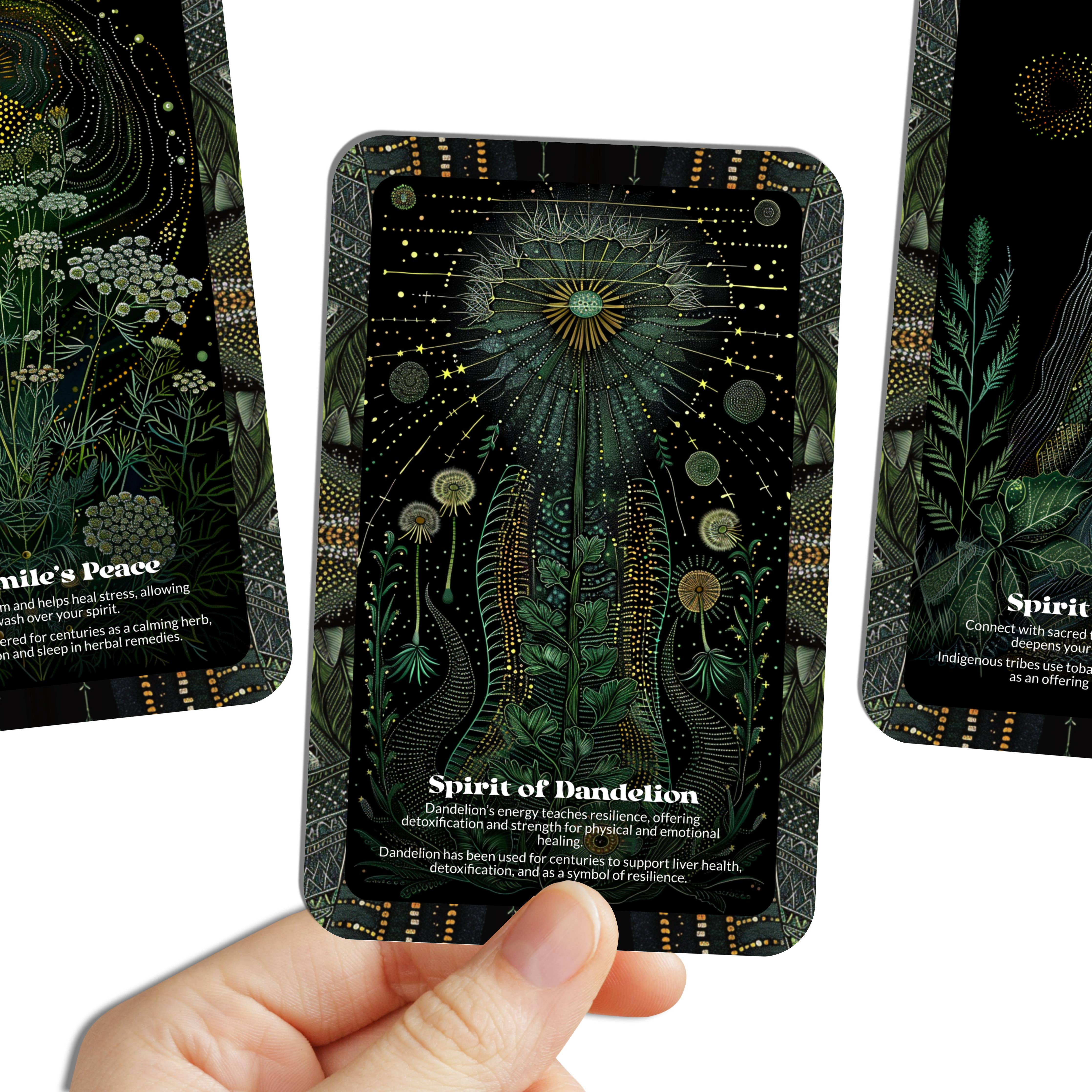 Plant Medicine Wisdom - 22 Oracle Cards