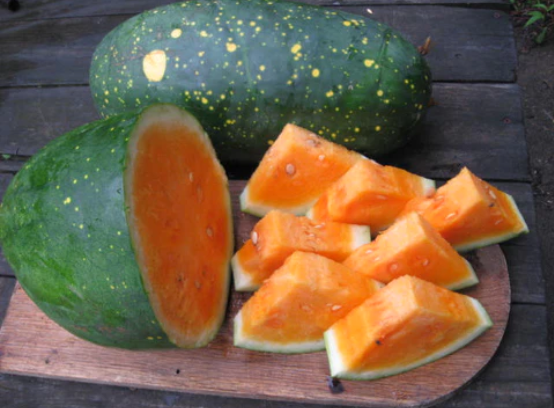Moon And Stars Watermelon, Yellow Fleshed Seeds