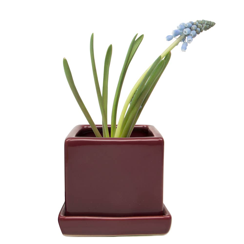 Cube Pot With Saucer And Drainage Hole: Burgundy
