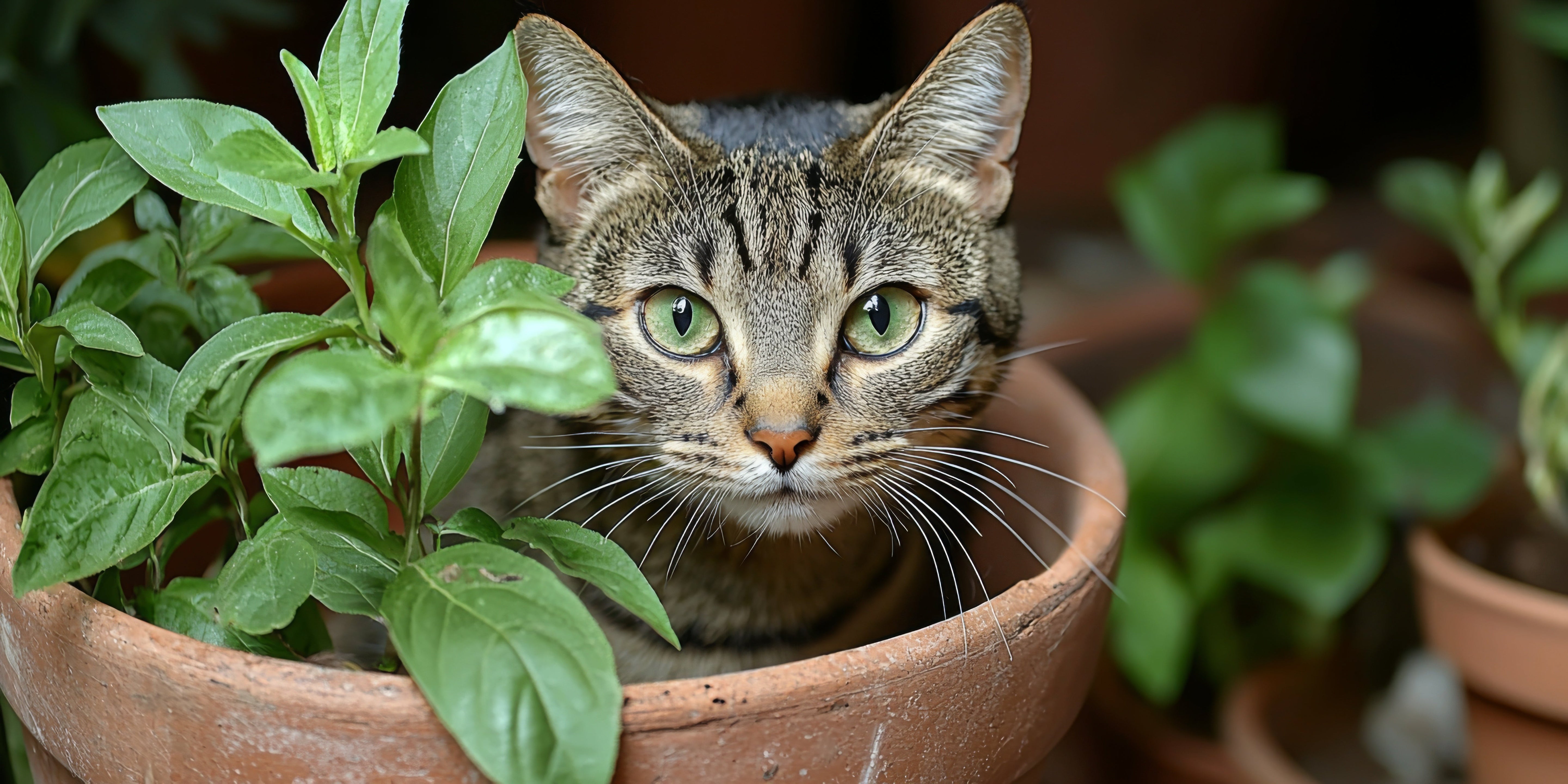 Fur Babies and Ficus: Your Guide to Pet-Safe Houseplants (and Which Ones to Avoid!)