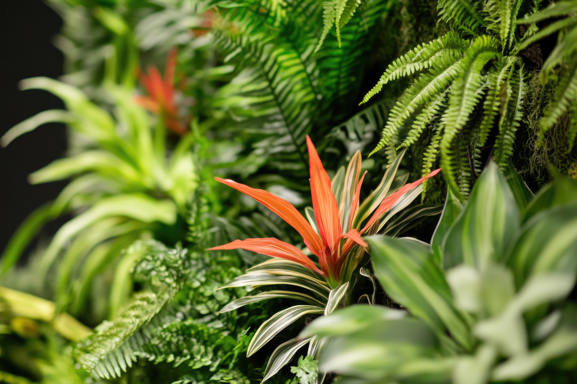 It’s Not You, It’s the Plant: Your Guide to Finding Houseplants That Fit Your Lifestyle