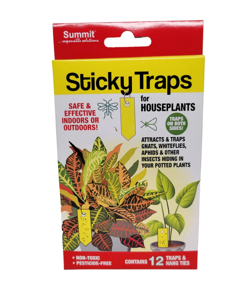 Sticky Fly Traps for Houseplants