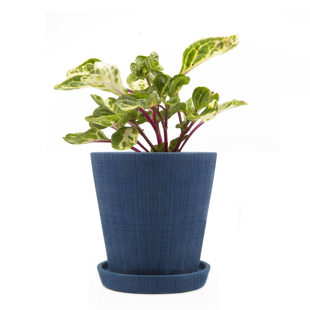 Blue Pot