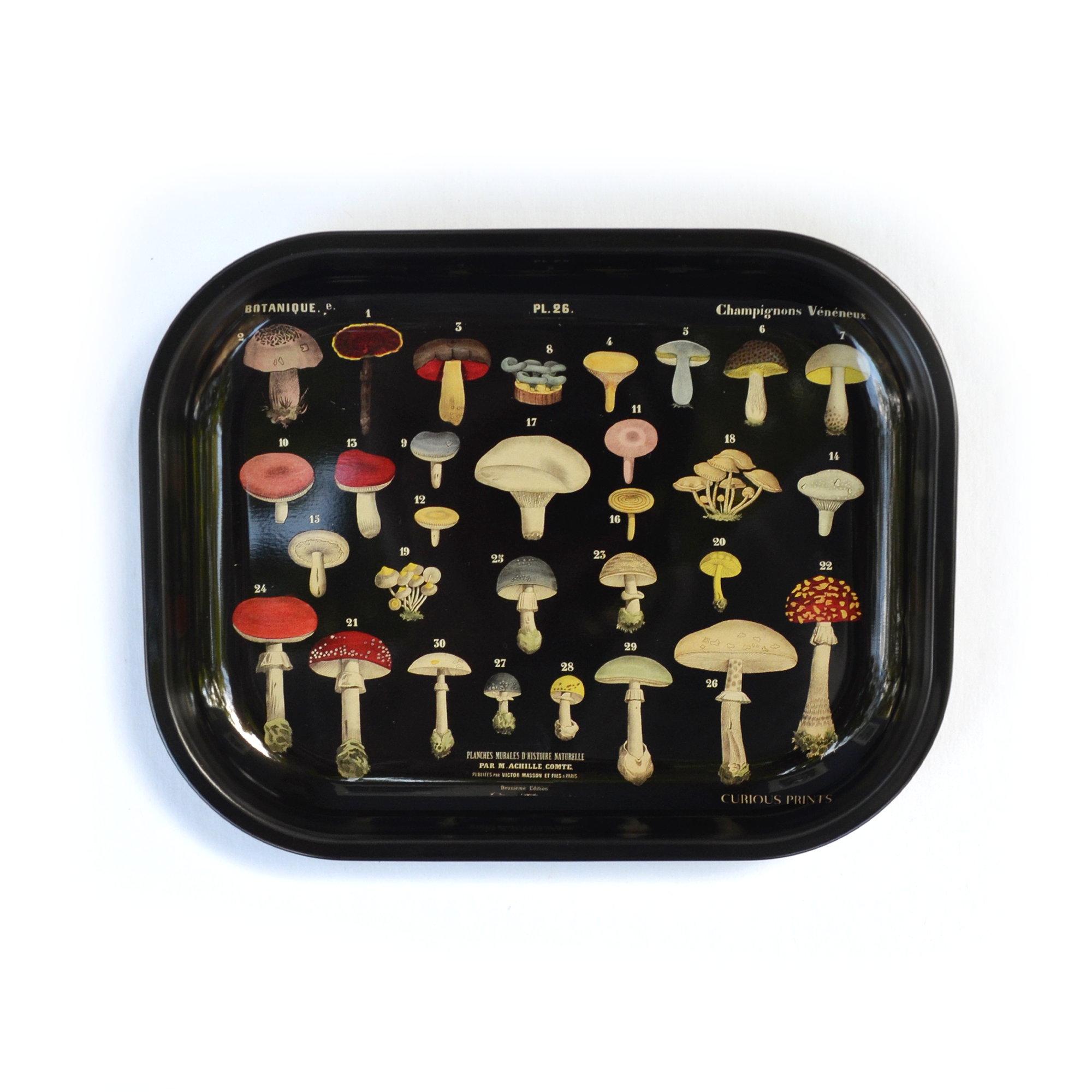 Small Metal Black Mushroom Tray